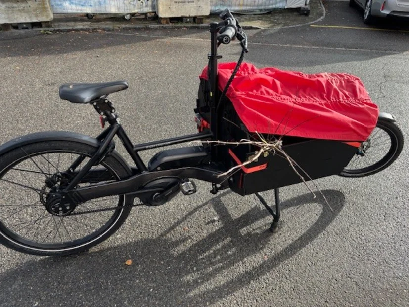 und weg sind sie, die Arbeit folgt! Das Einpflanzen