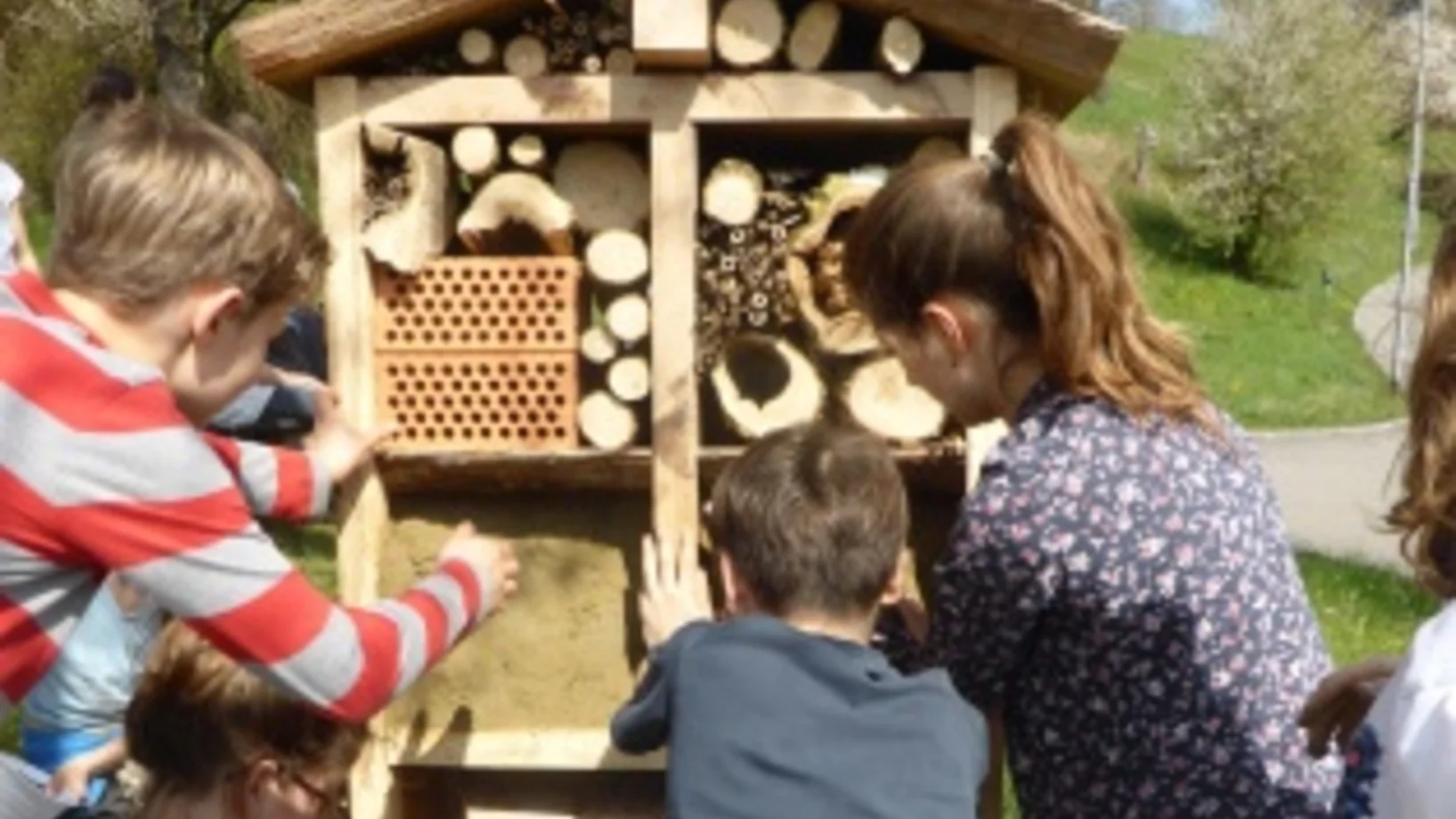 Kinder schauen in ein Insektenhotel