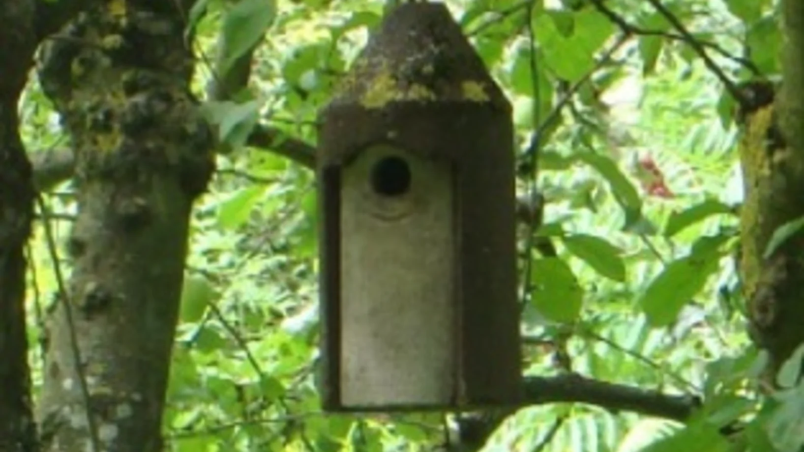 Vogelhaus