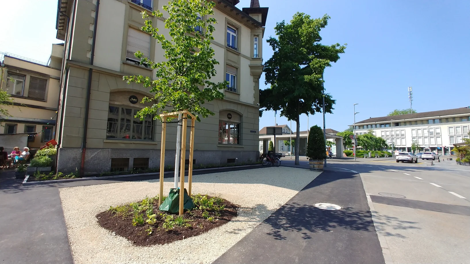 Entsiegelter Mergelplatz mit Baum und bepflanzte Baumscheibe