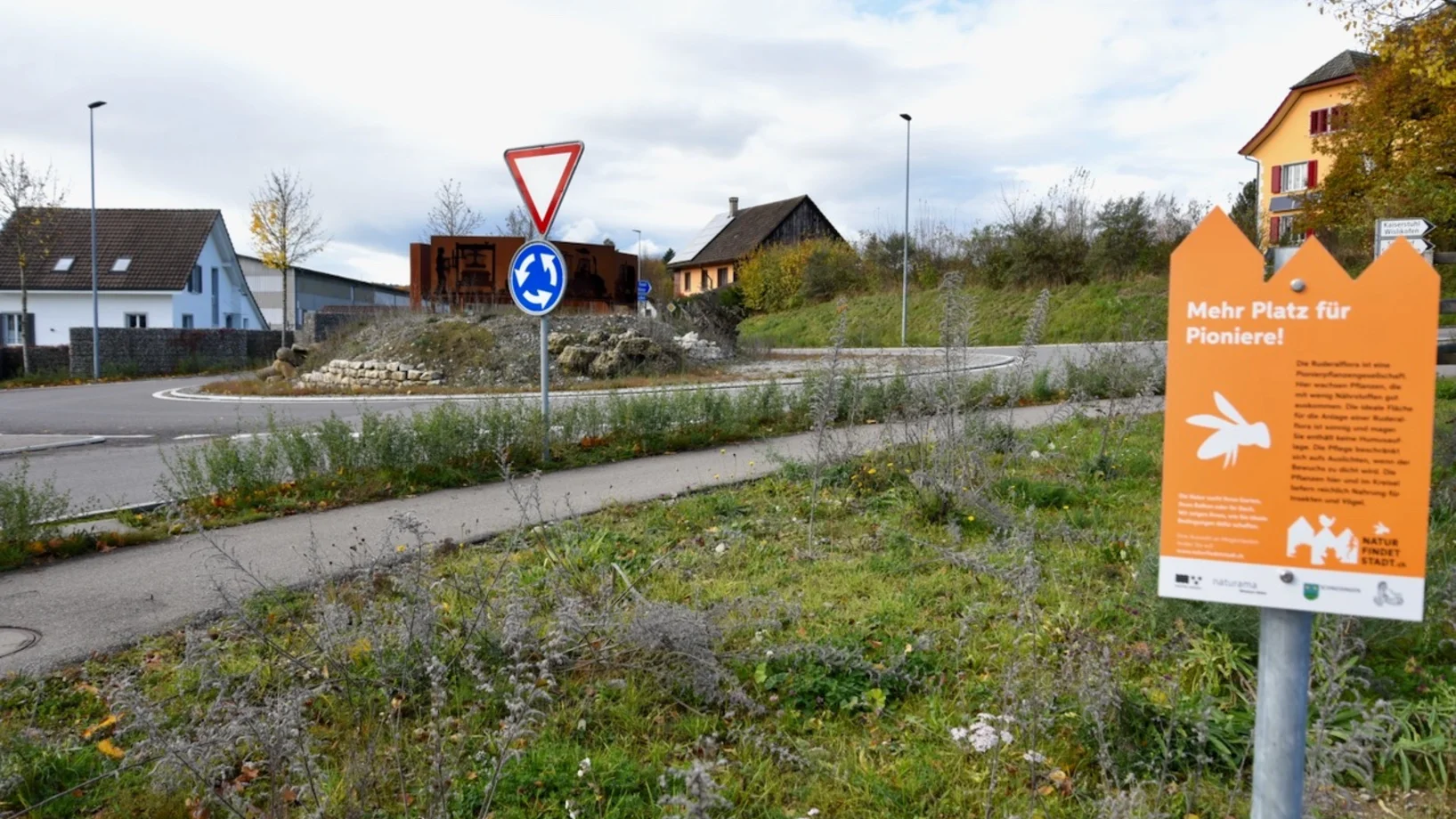 Ruderalfäche 2023