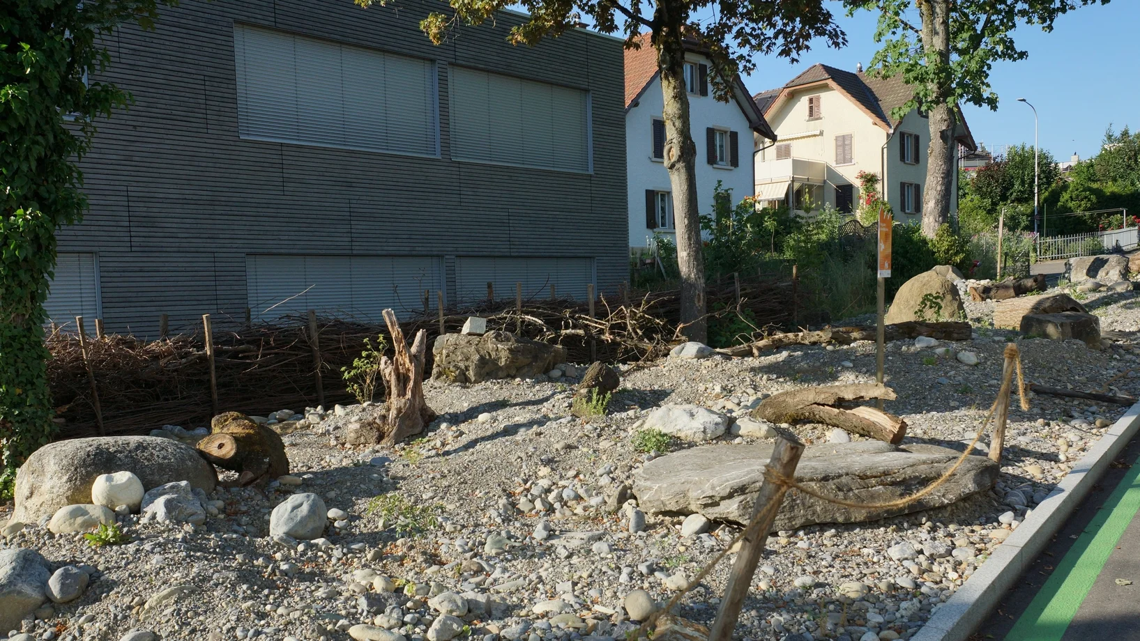 Ruderalfläche beim Schulhaus Pfrundmatt in Reinach