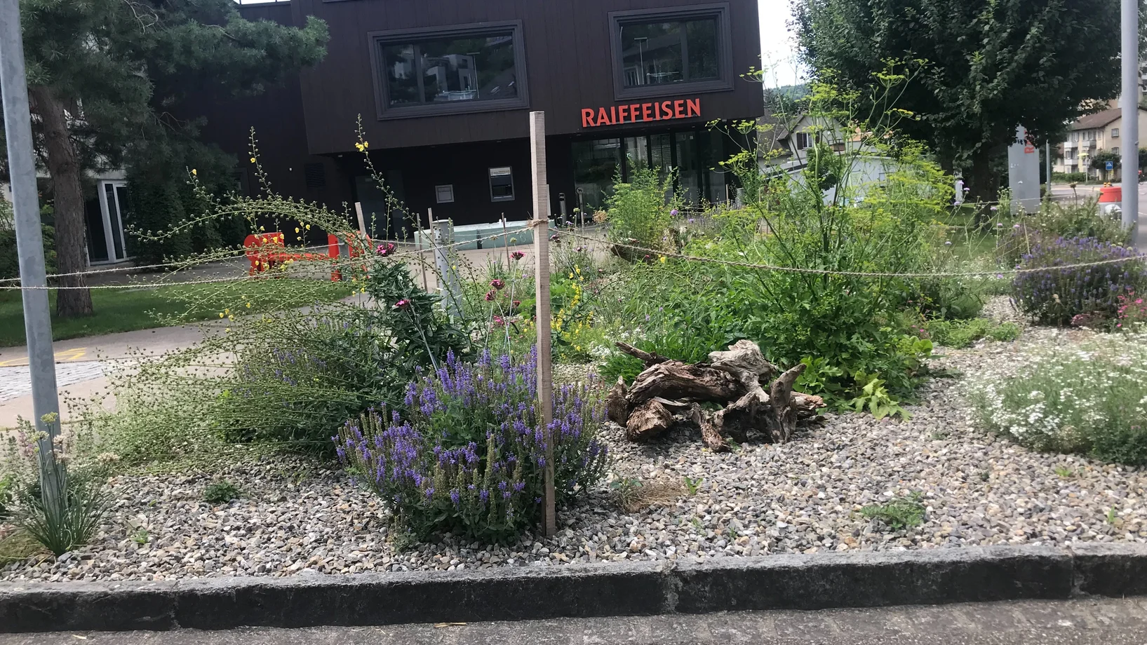 Biodiversität in Nussbaumen