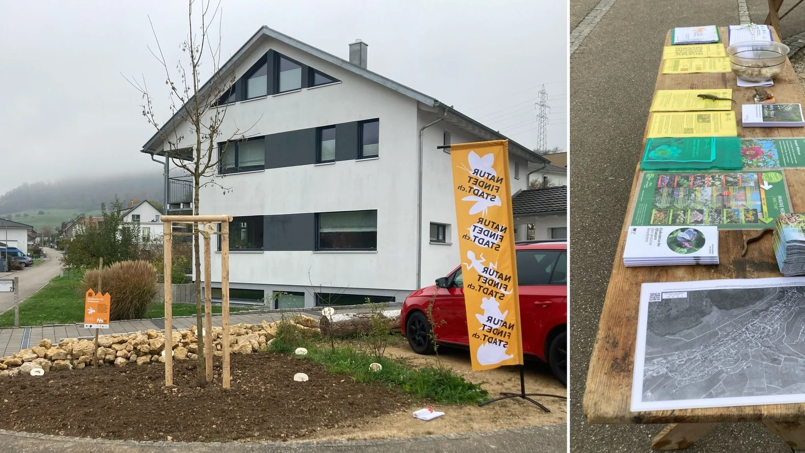 Startfläche Wittnau