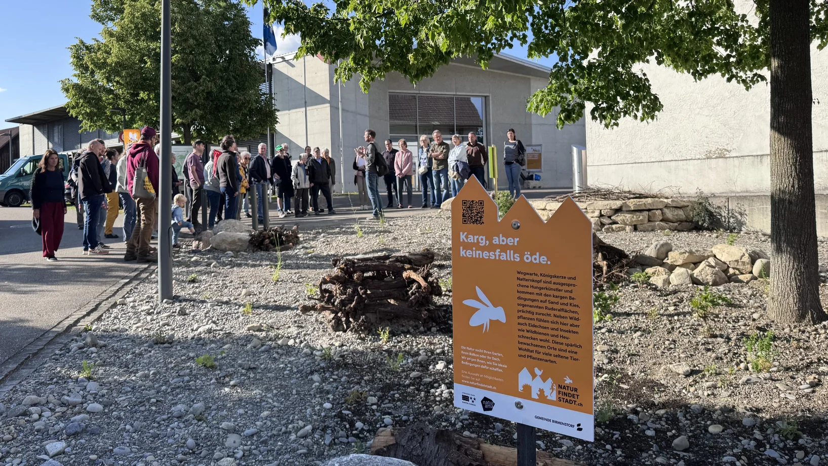 Erläuterungen bei der Ruderalfläche vor dem Gemeindehaus
