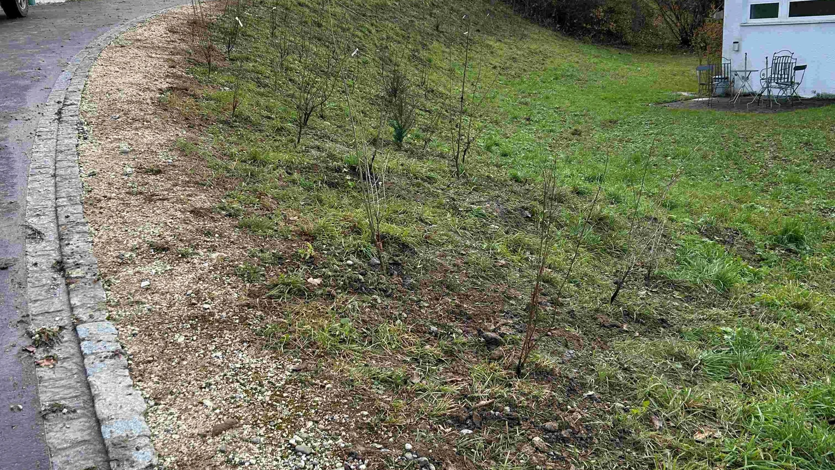 Pflanzung Terrassenweg