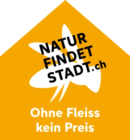 Wildbiene: Ohne Fleiss kein Preis