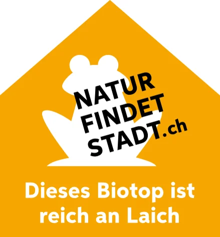 Frosch: Dieses Biotop ist reich an Laich