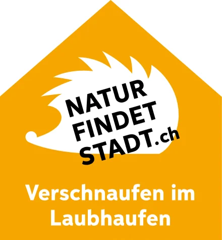 Igel: Verschnaufen im Laubhaufen