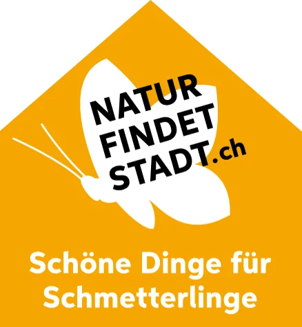 Schmetterling: Schöne Dinge für Schmetterlinge