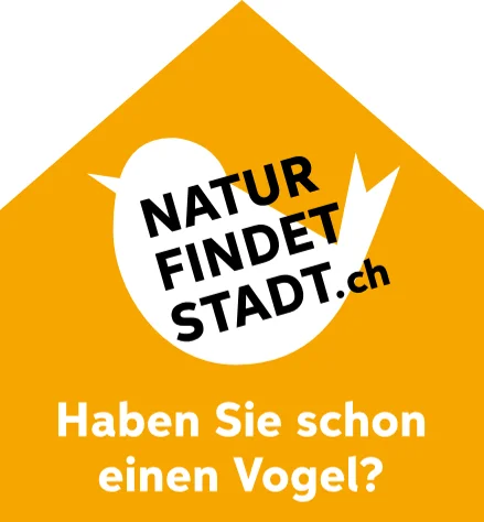 Vogel: Haben Sie schon einen Vogel?