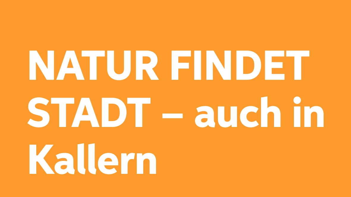 NATUR FINDET STADT - auch in Kallern